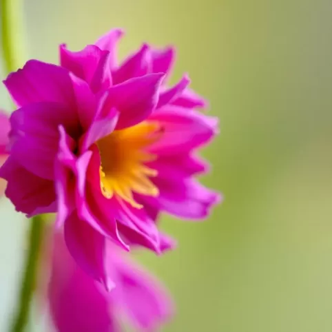 Jak odkleić lustro od ściany